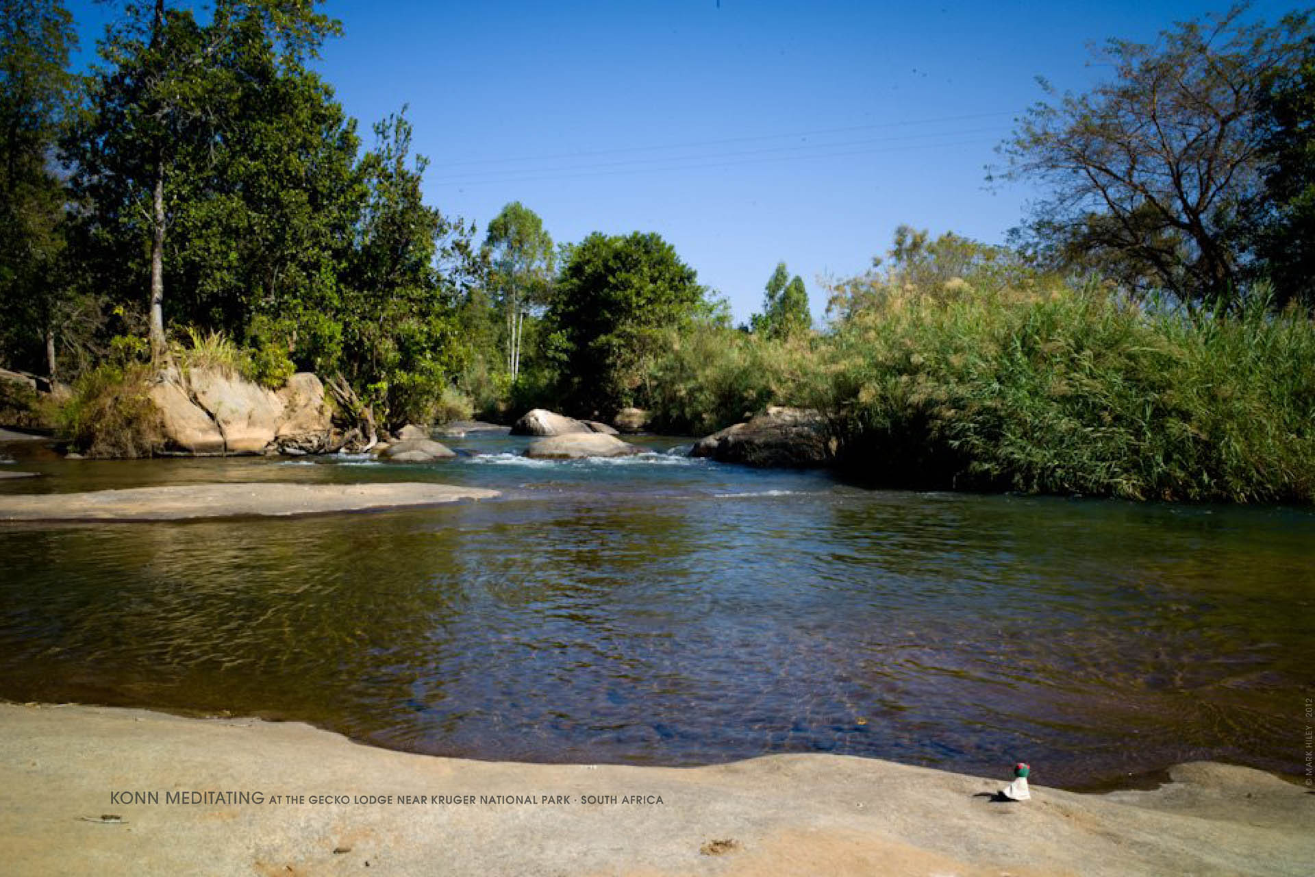 Mark Hiley's KONN THE FROG meditating at the Gecko Lodge near Kruger National Park, South Africa
